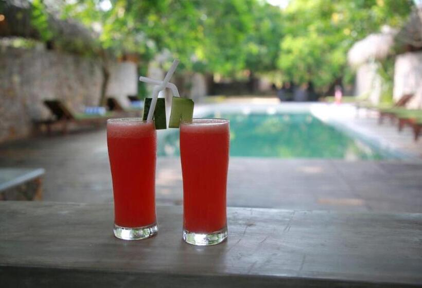 酒店 Hiru Villas And Kitesurfing