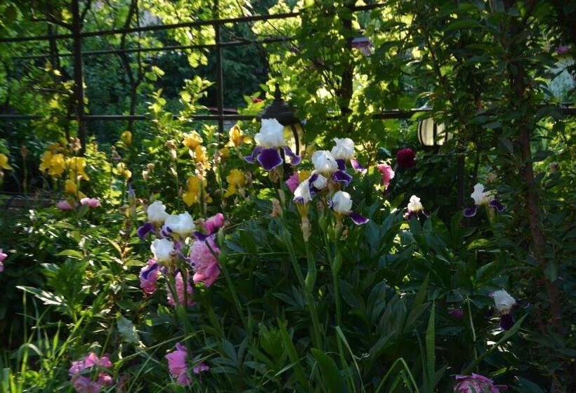 هتل корсар:korsar