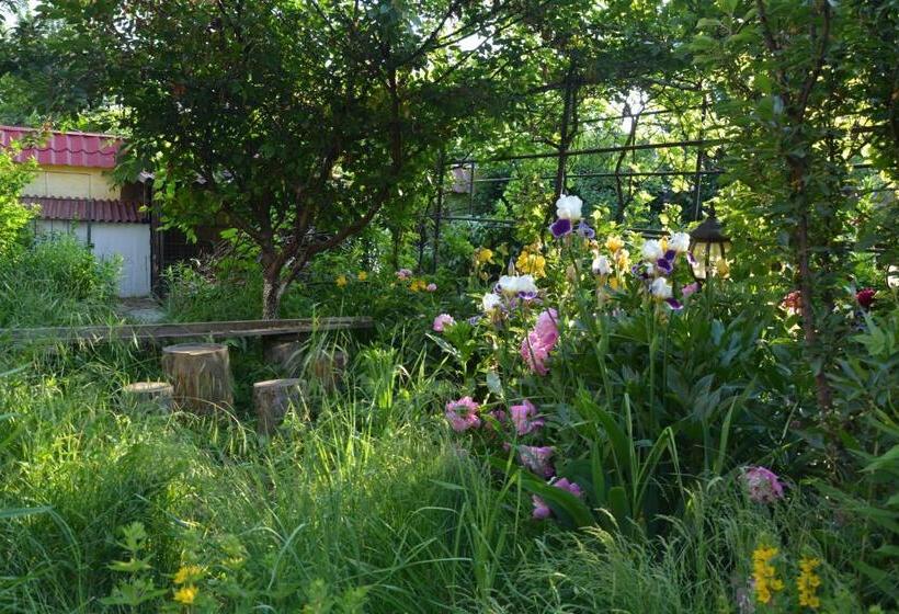 هتل корсар:korsar