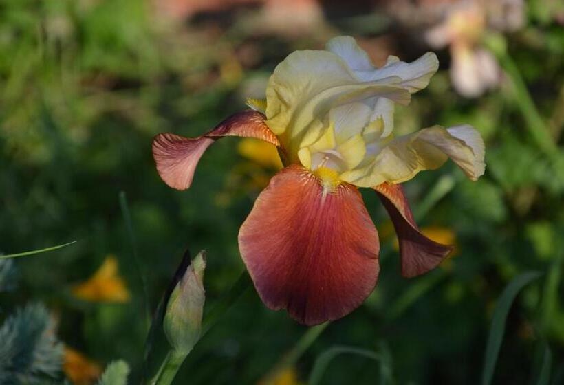 هتل корсар:korsar