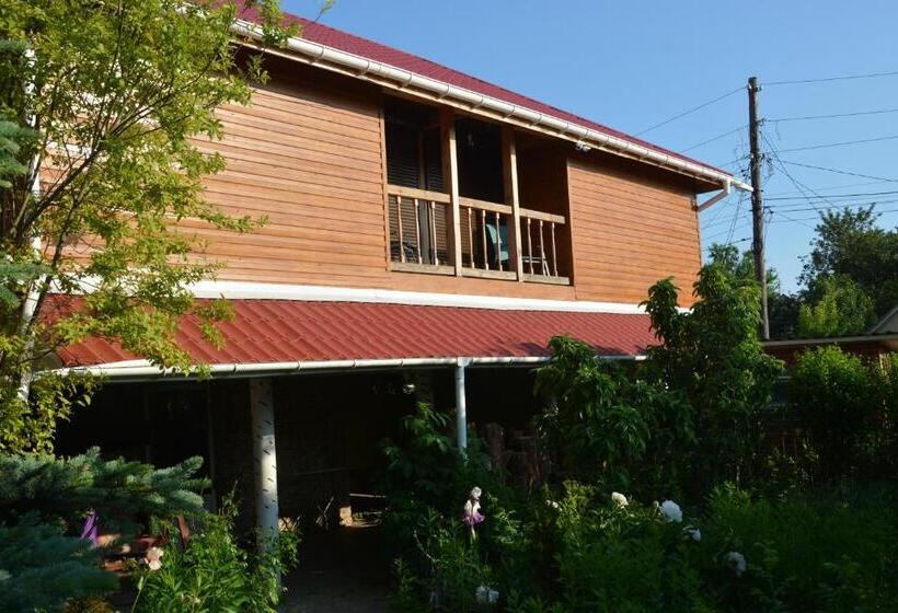 هتل корсар:korsar