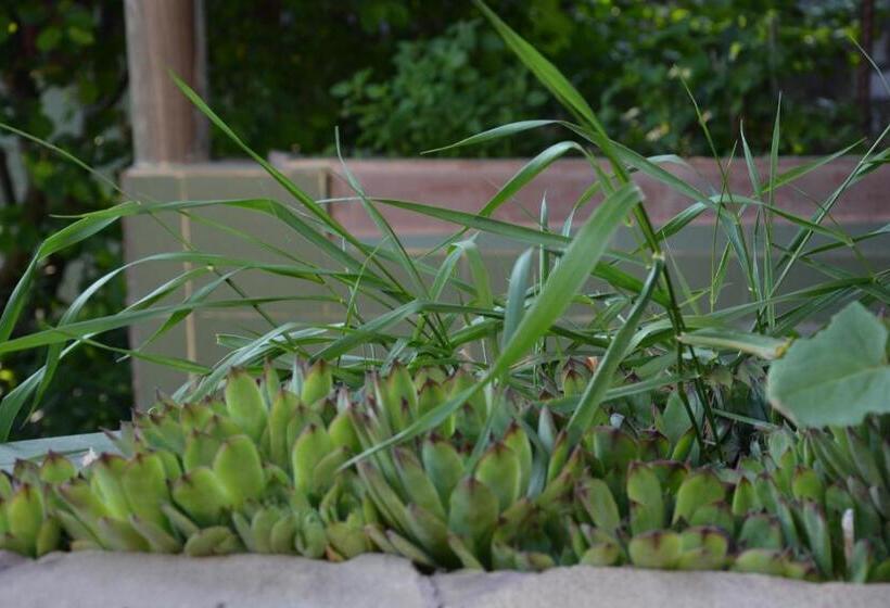 هتل корсар:korsar