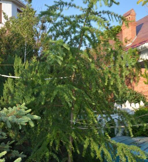 هتل корсар:korsar