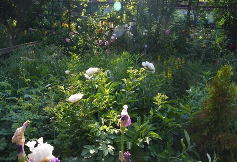 هتل корсар:korsar