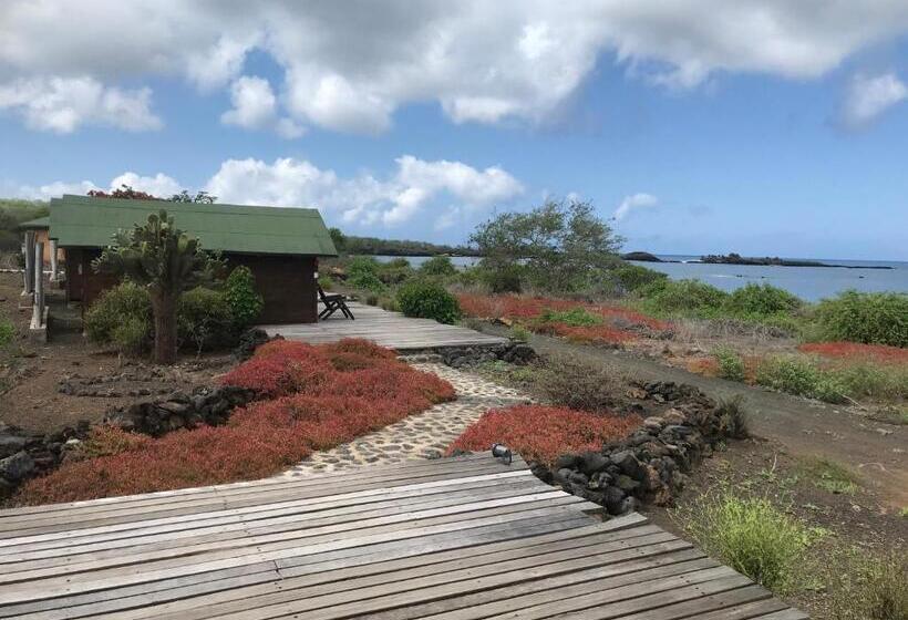 هتل Lava Lodge