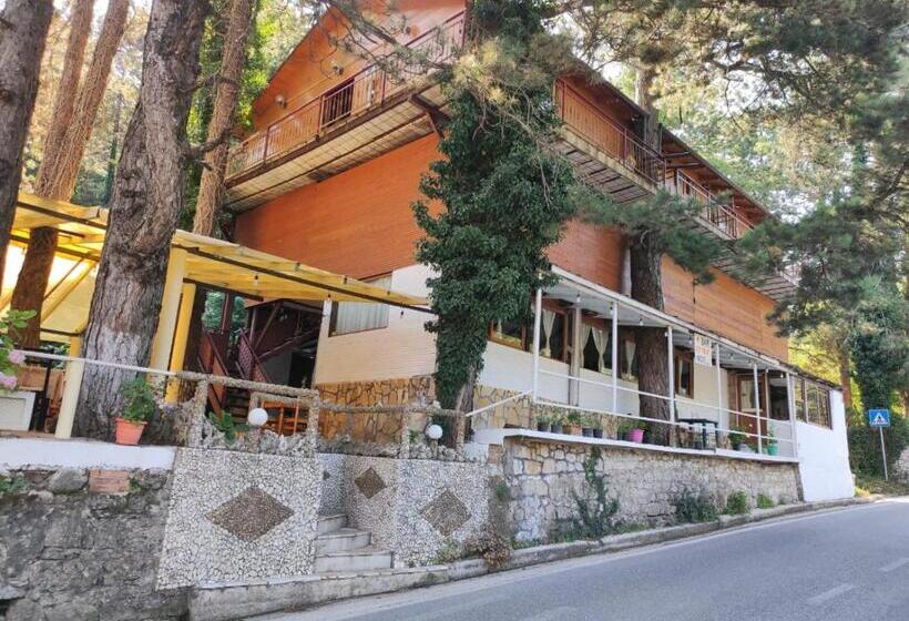 Hotelli Toni Llogora