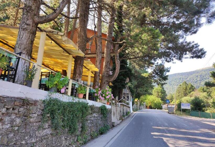 Hotelli Toni Llogora