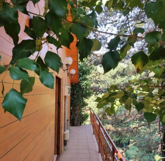 Hotelli Toni Llogora