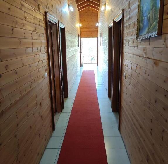 Hotelli Toni Llogora