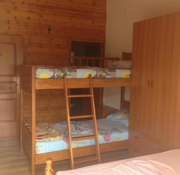 Hotelli Toni Llogora