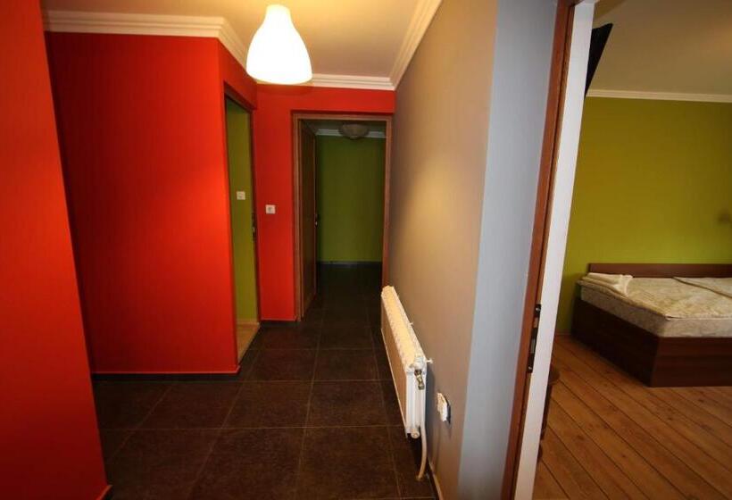 Pension (Hôtel basse catégorie) къща за гости джая