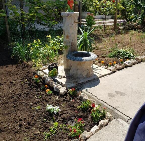 膳宿费 къща за гости саня