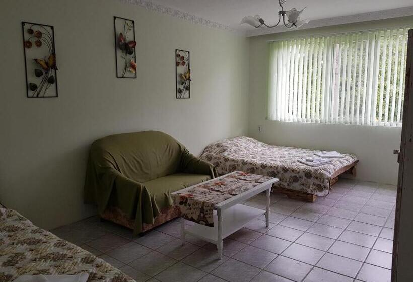 膳宿费 къща за гости саня