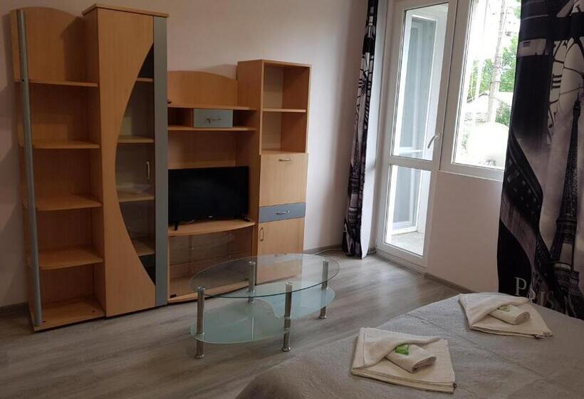 膳宿费 къща за гости саня