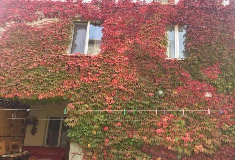 پانسیون дом у моря одесса