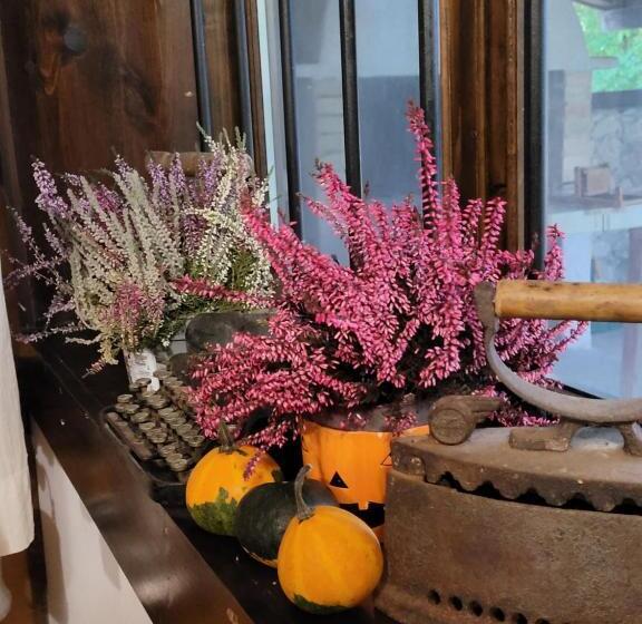 بنسيون къща за гости българа