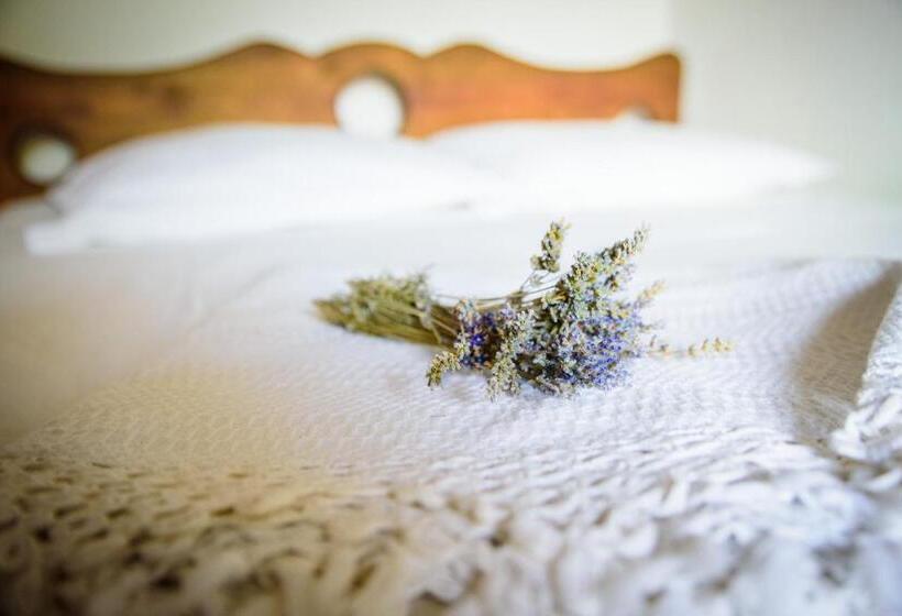 بنسيون къща за гости българа