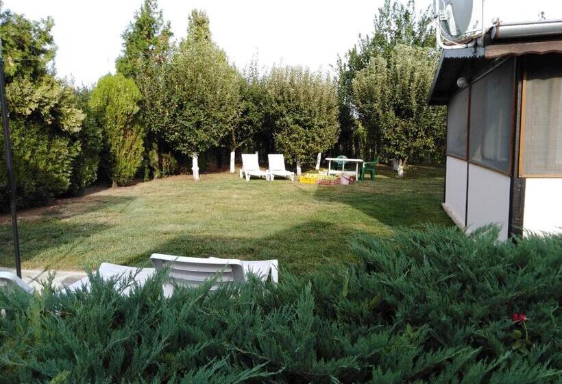 פנסיון бриз 1 апартамент