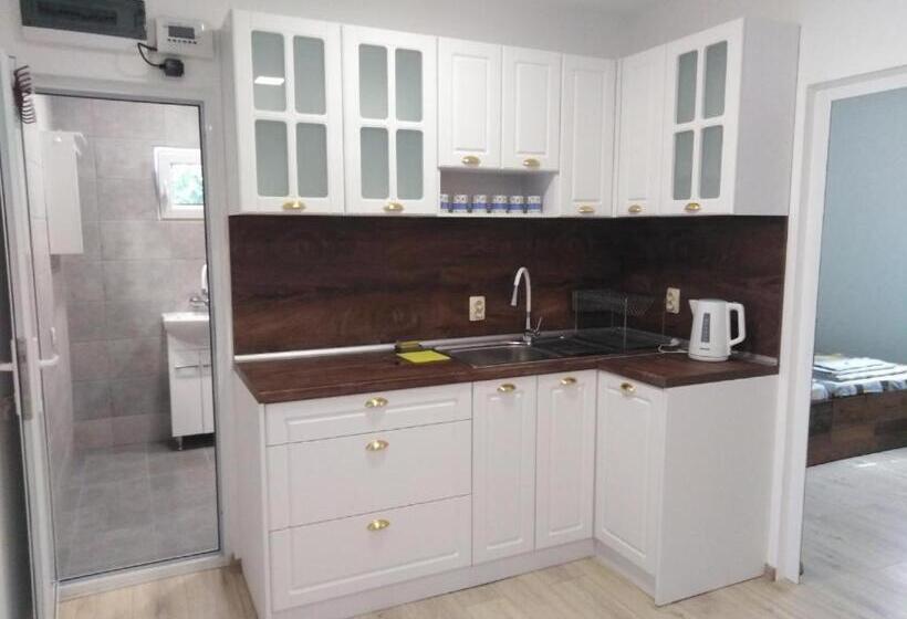 פנסיון бриз 1 апартамент