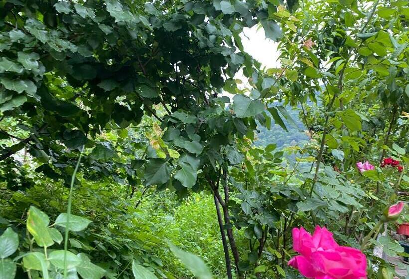 ペンション Bella Loft House