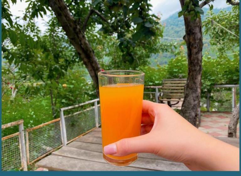 ペンション Bella Loft House