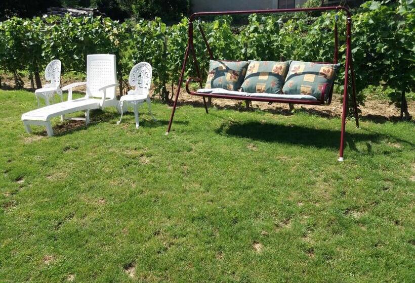 פנסיון Beáta Vendégház