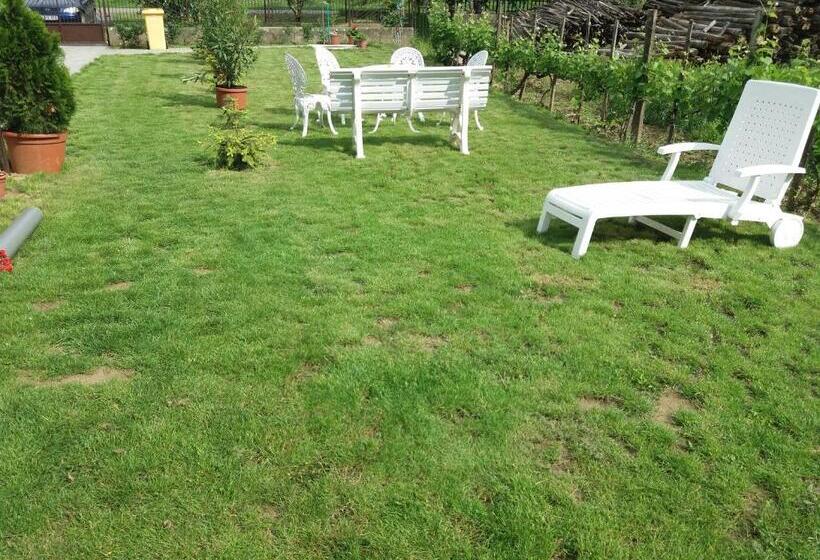 פנסיון Beáta Vendégház