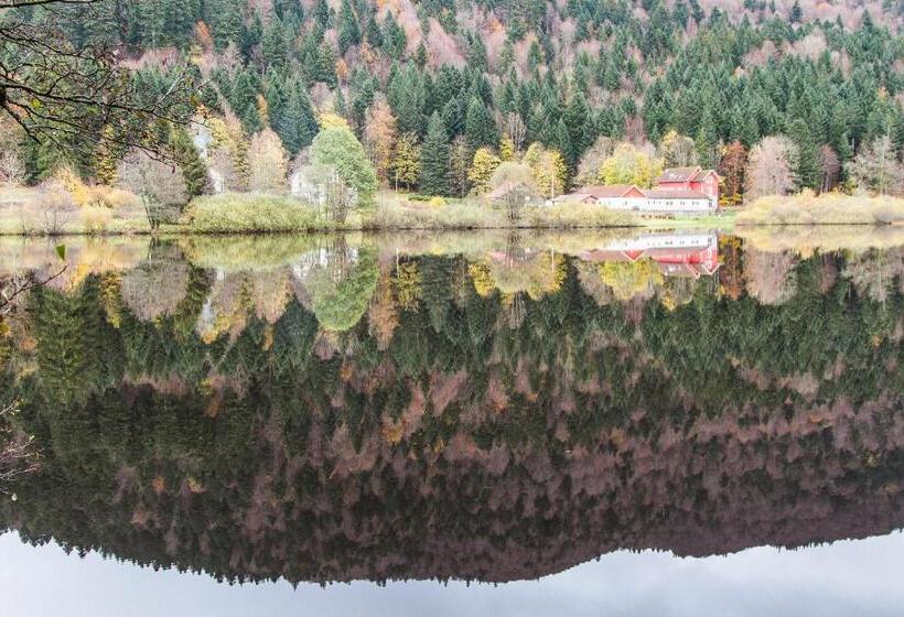 بنسيون Gîte Domaine Des Iris