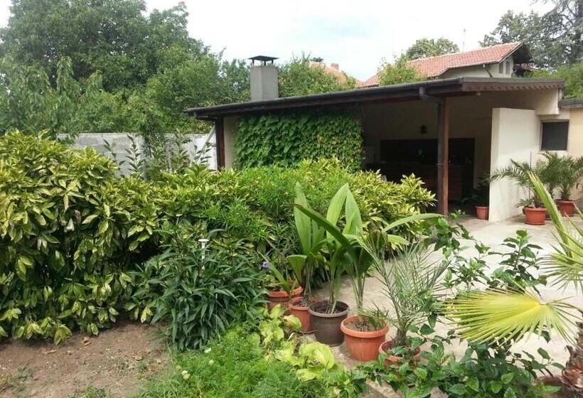 بنسيون Guest House Zhelevi