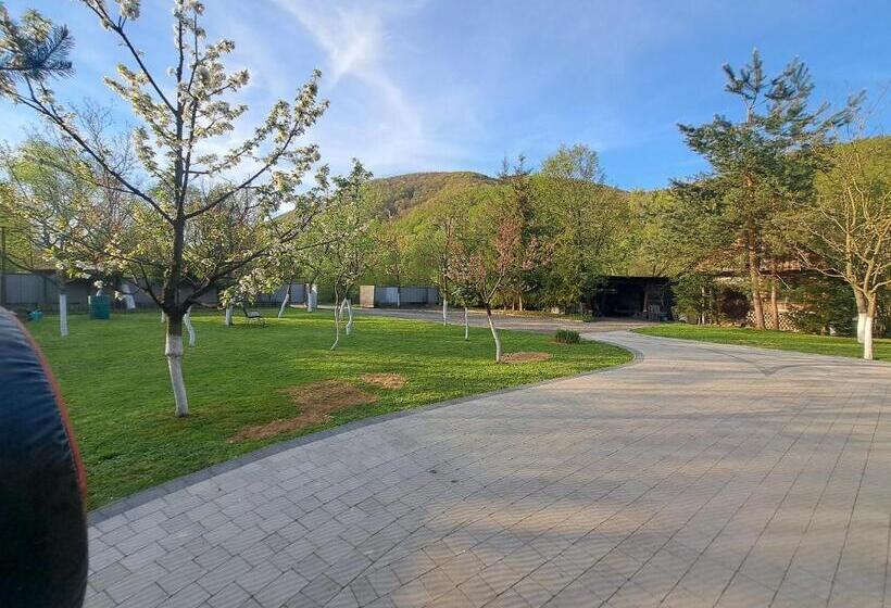 פנסיון Solomiia