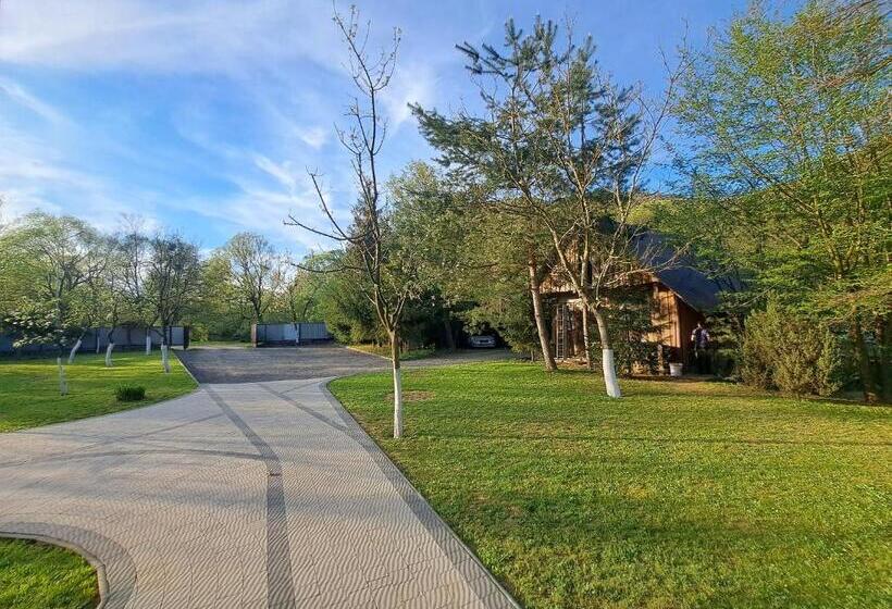 بنسيون Solomiia