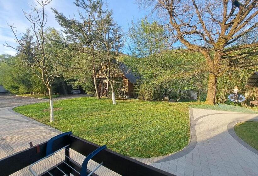 פנסיון Solomiia