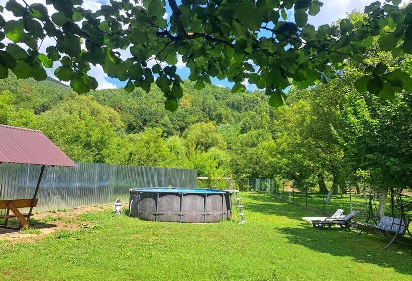 פנסיון Solomiia