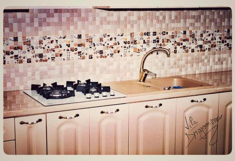 بنسيون Vila Dragomirna