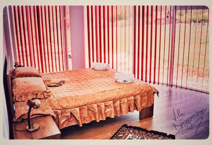 بنسيون Vila Dragomirna