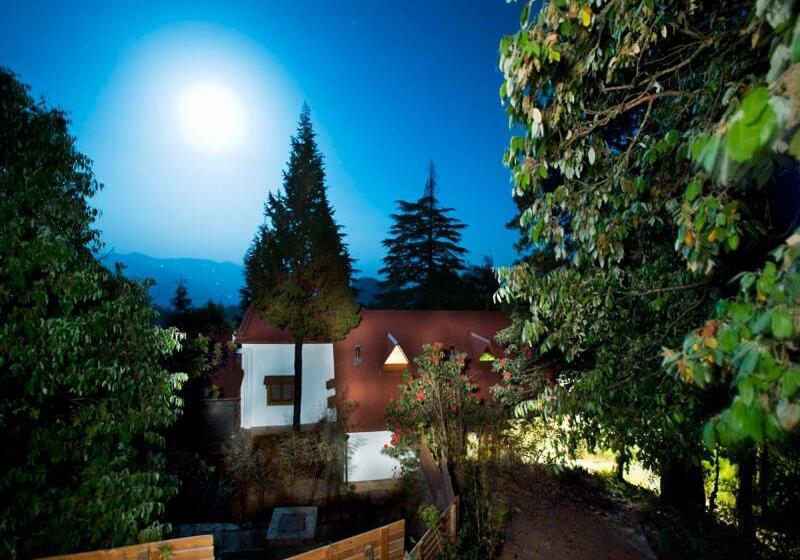 渡假胜地  Mary Budden Estate