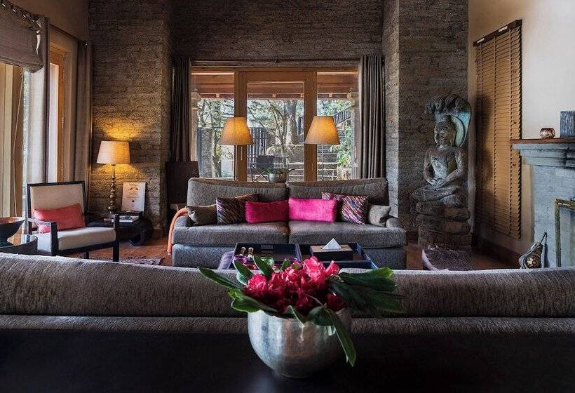 渡假胜地  Mary Budden Estate