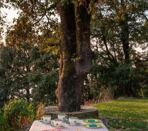 渡假胜地  Mary Budden Estate