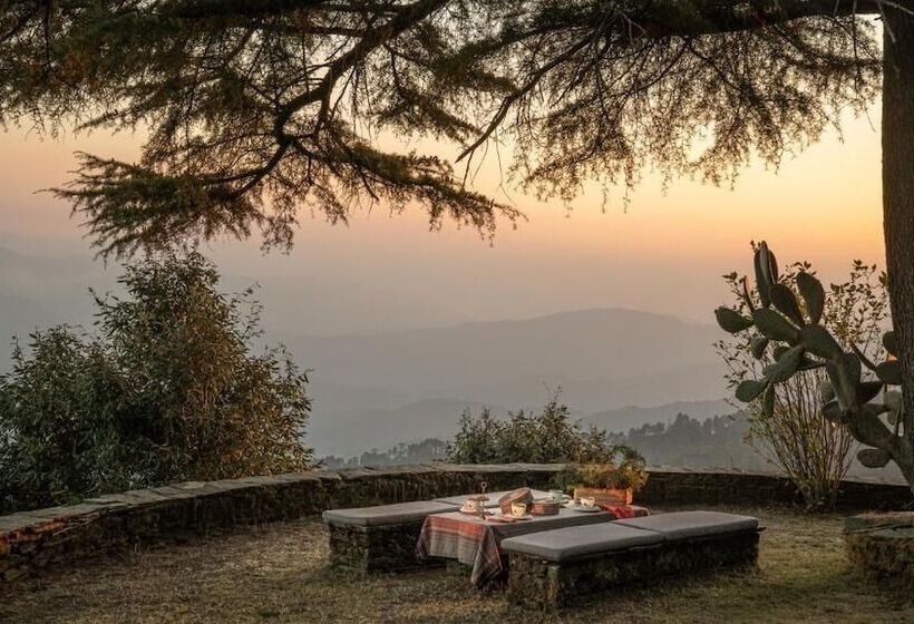 渡假胜地  Mary Budden Estate