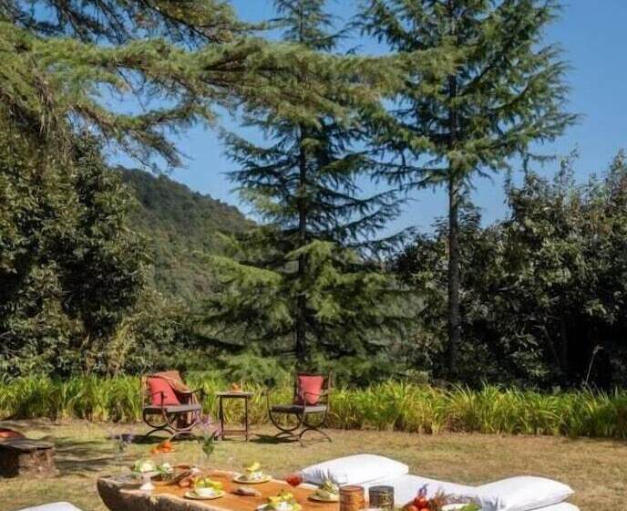 渡假胜地  Mary Budden Estate