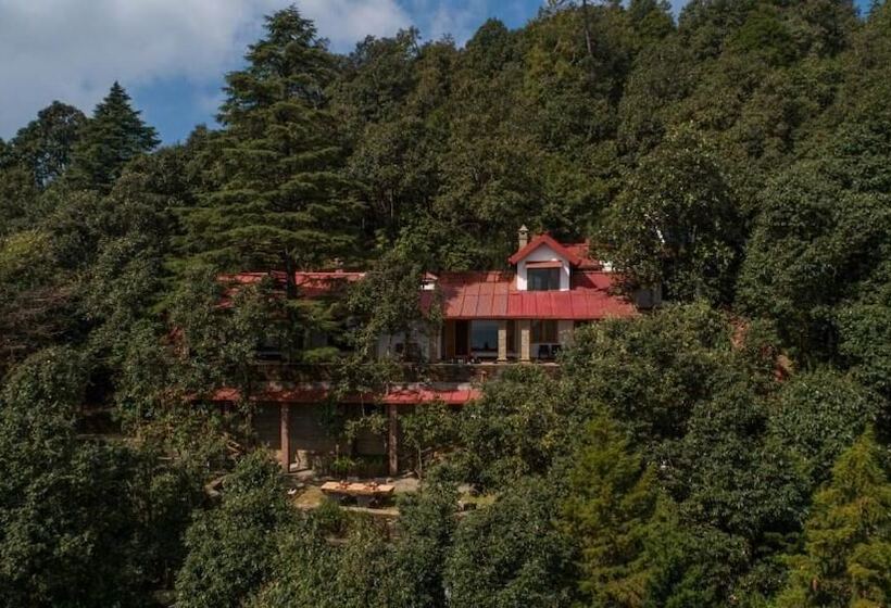 渡假胜地  Mary Budden Estate