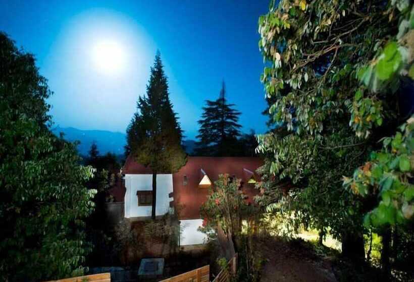 渡假胜地  Mary Budden Estate