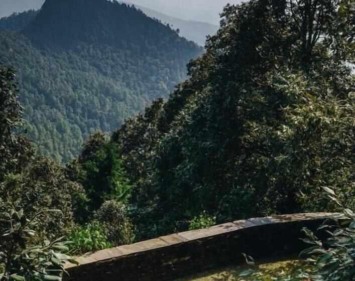 渡假胜地  Mary Budden Estate