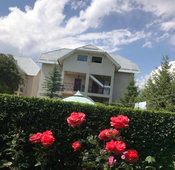 هاستل алтын мезгиль