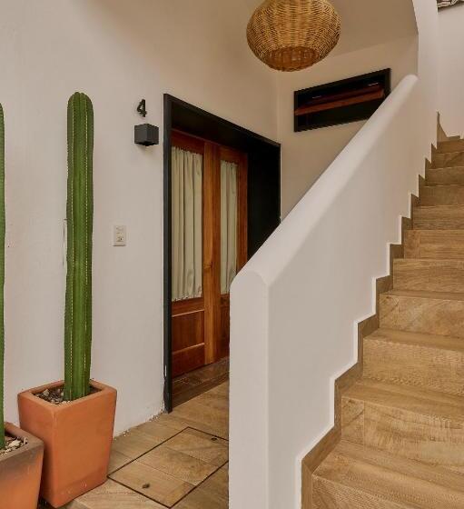 호스텔 Stay Ortenxia