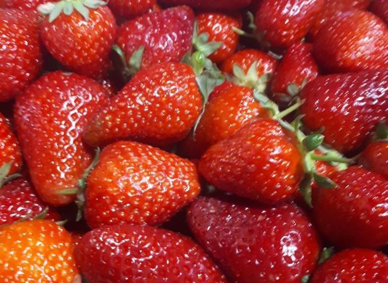 ベッドアンドブレックファースト Casa Degli Ulivi