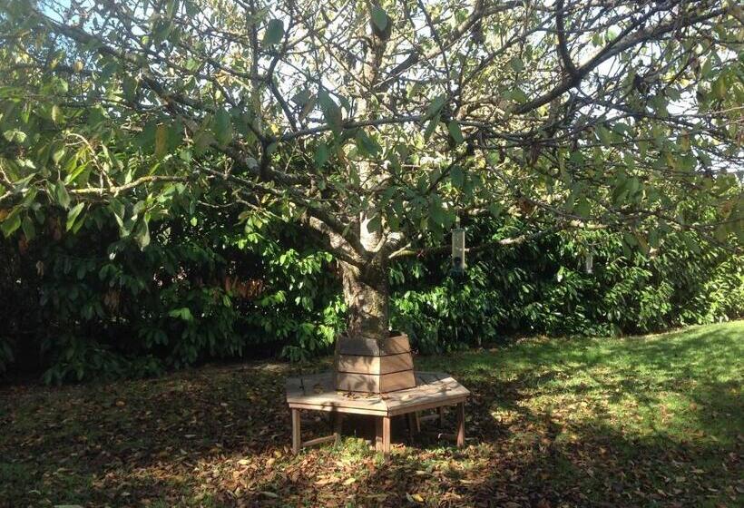 ベッドアンドブレックファースト Chez Irene