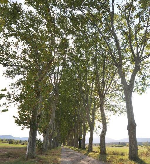 住宿加早餐  Domaine De Ceyrac