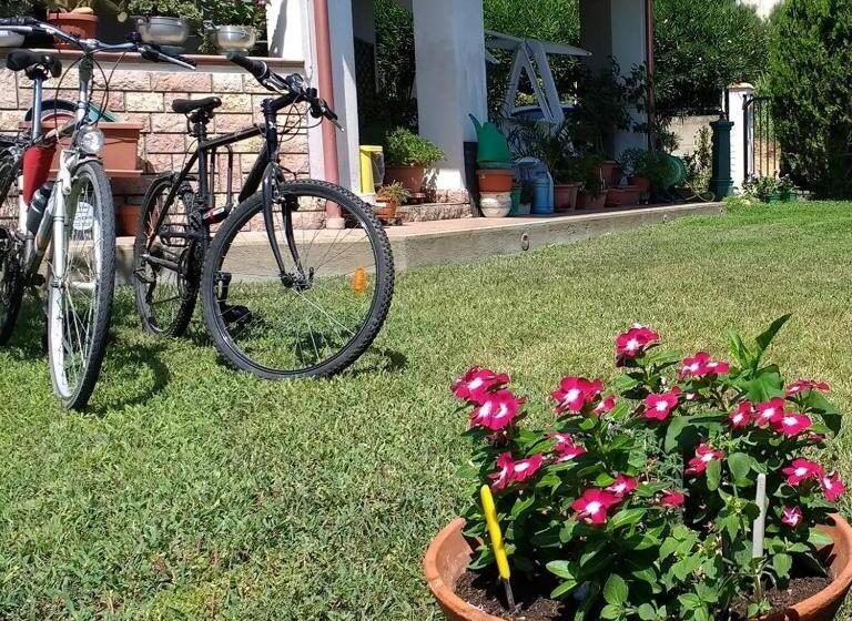 ベッドアンドブレックファースト Il Cavalluccio Marino