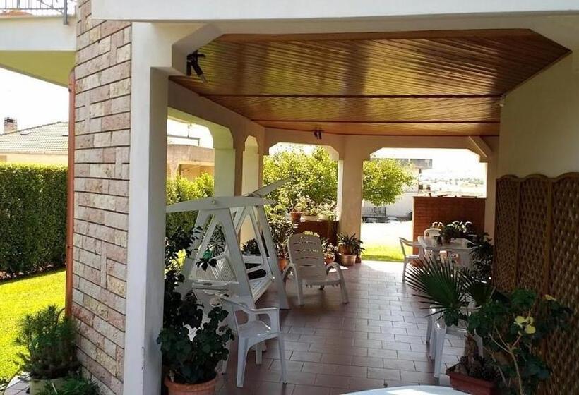 ベッドアンドブレックファースト Il Cavalluccio Marino